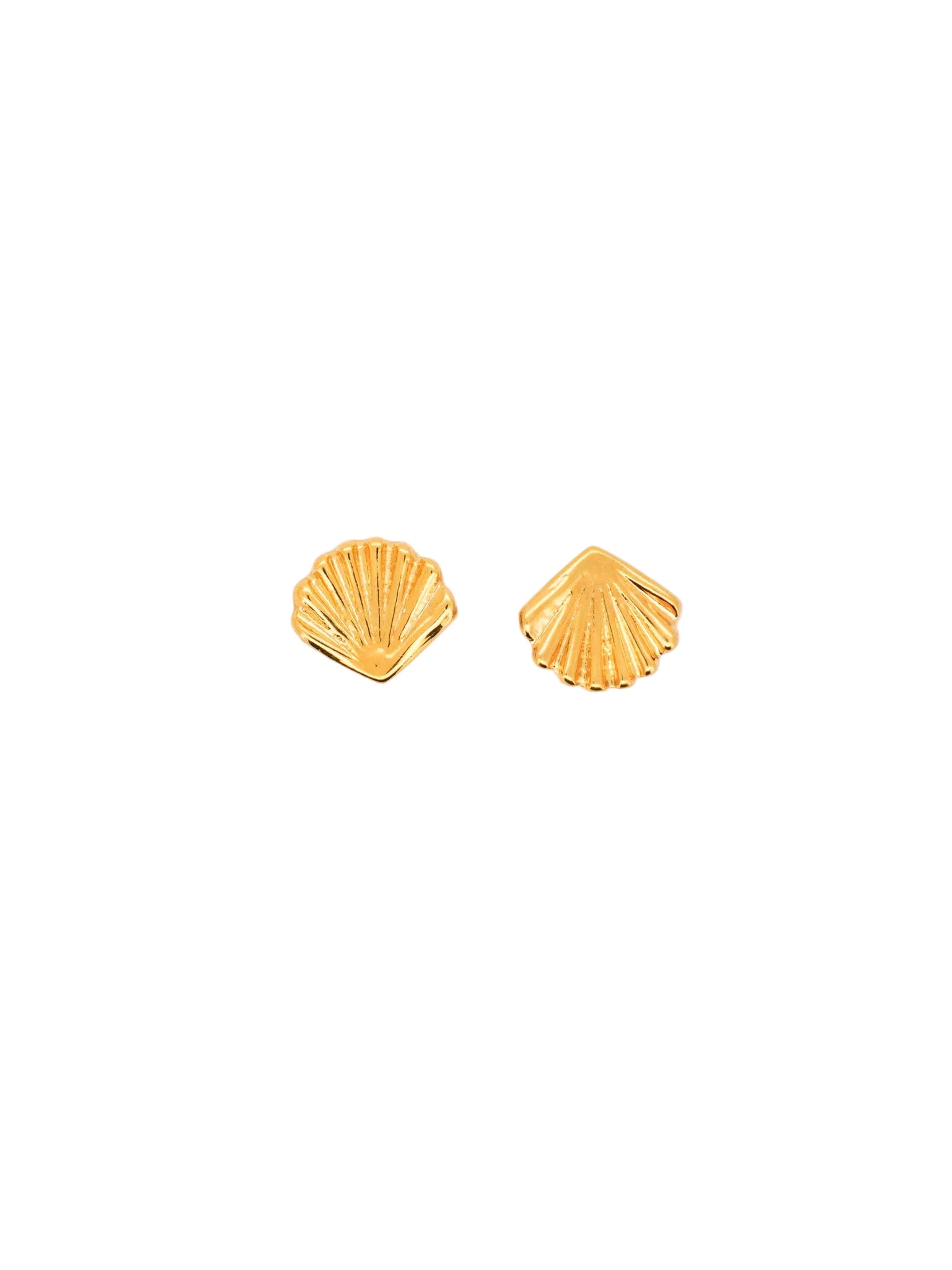 Shell Stud Earrings