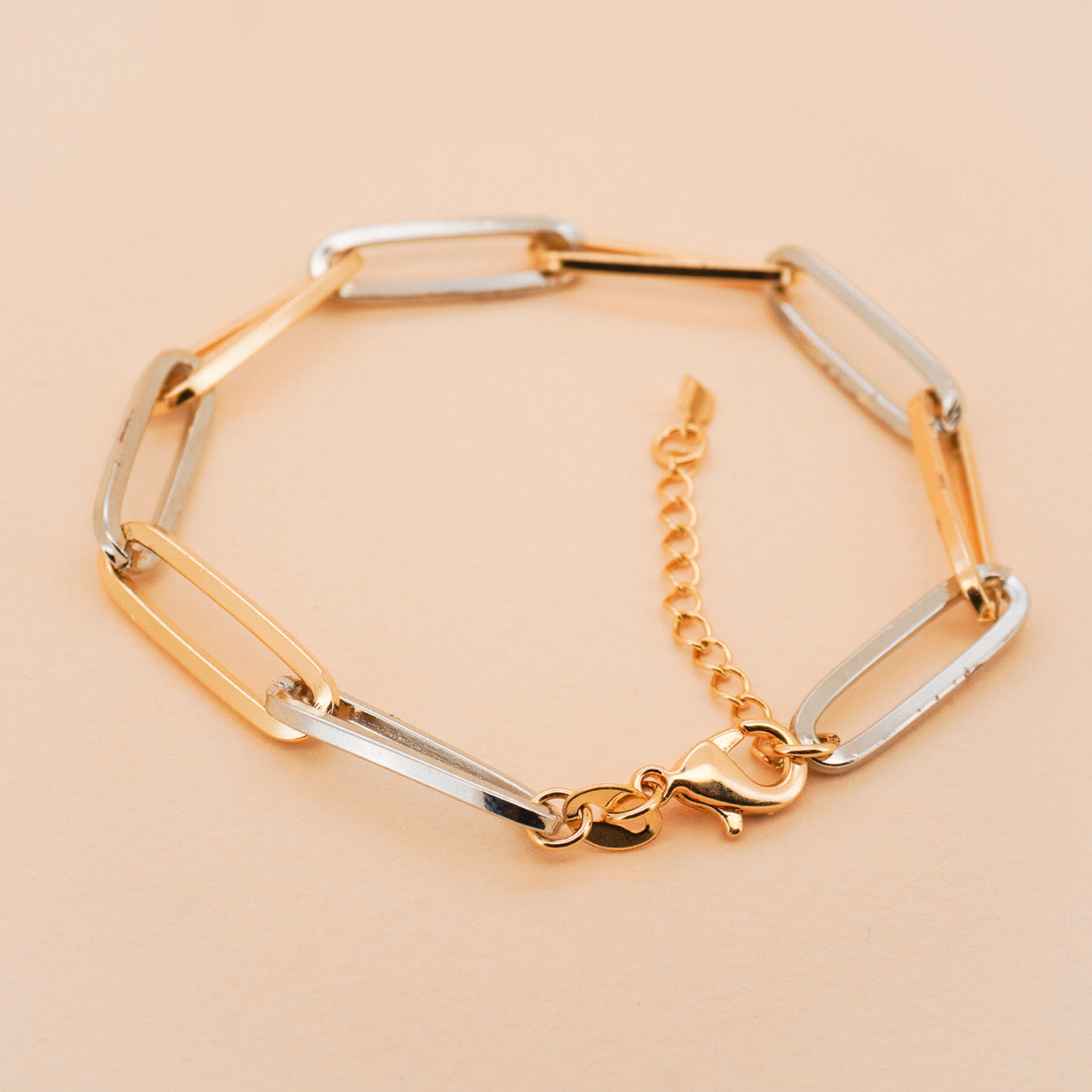 Mixed Metal Oval Clip Bracelet