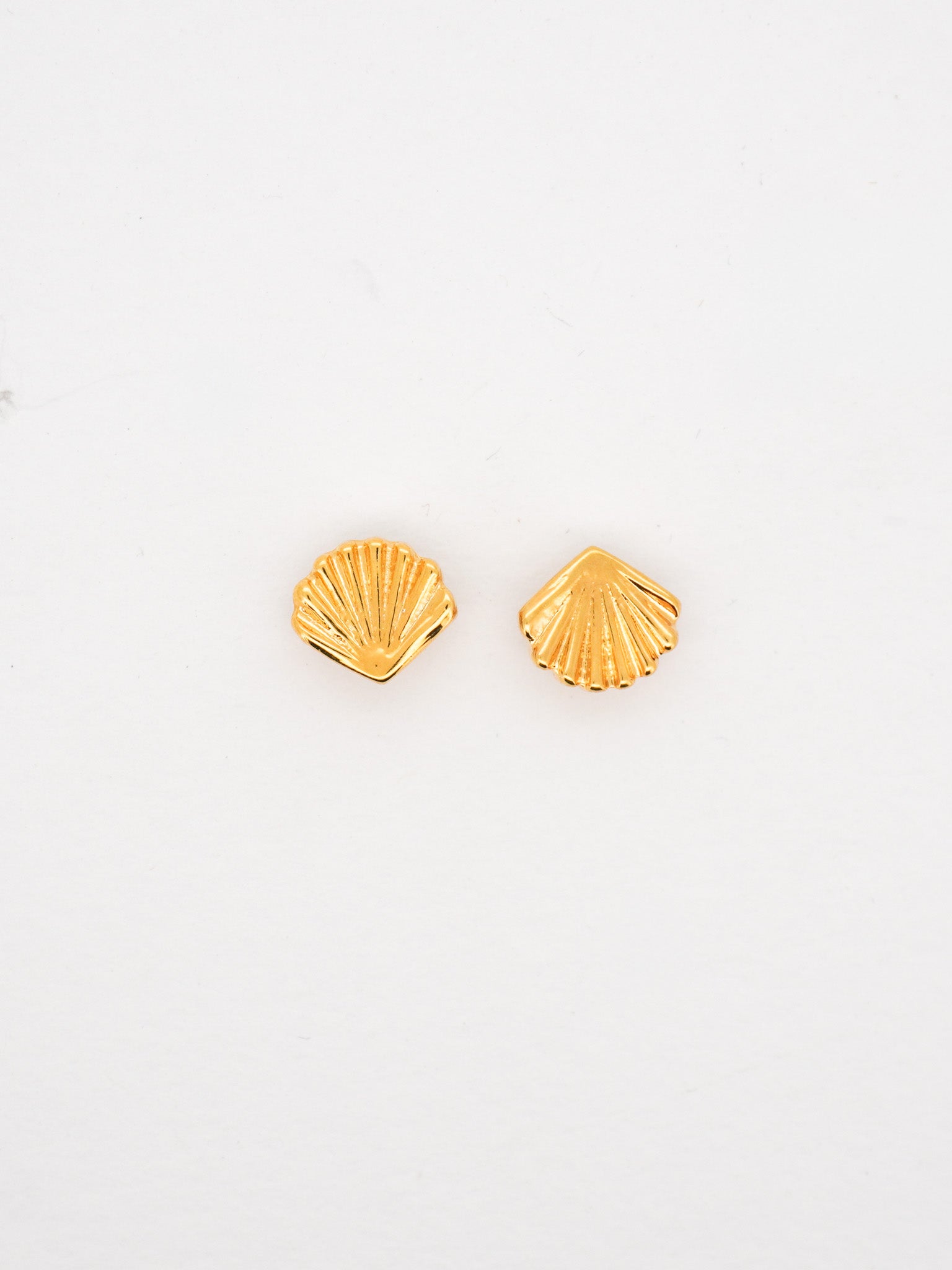 Shell Stud Earrings