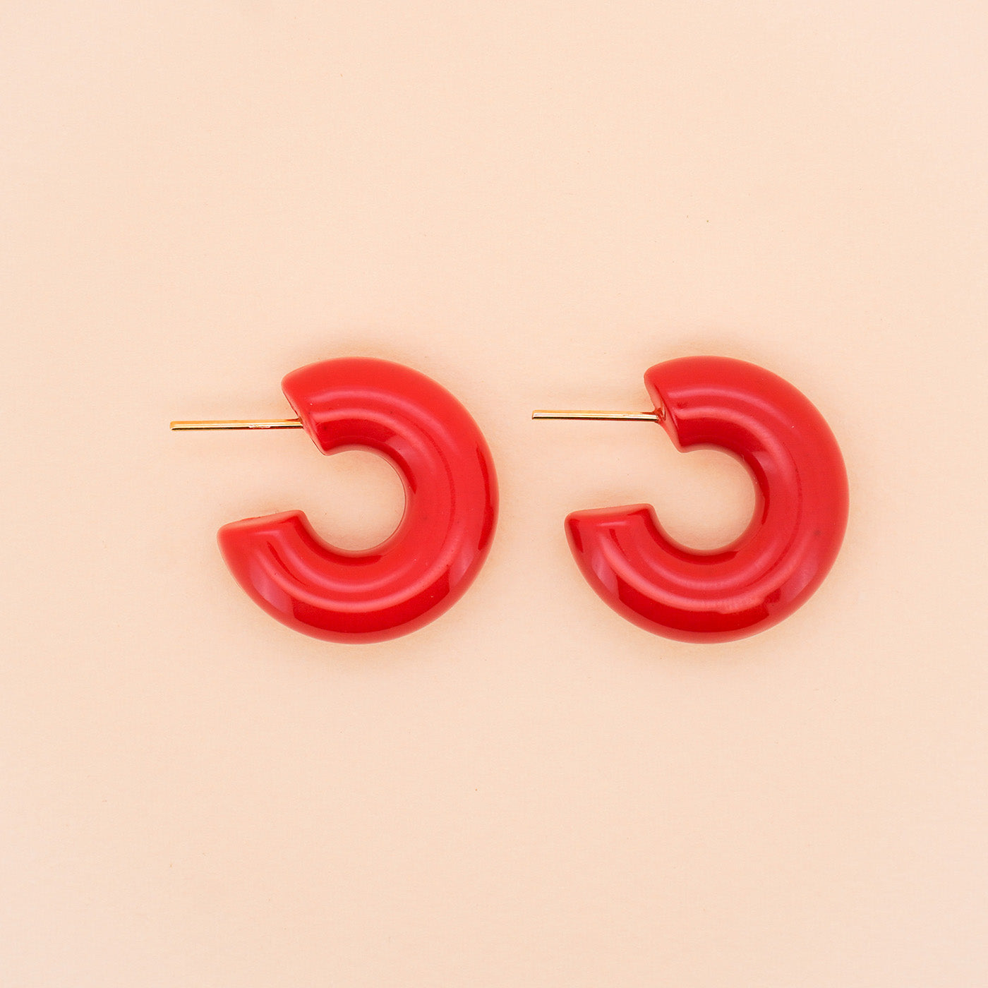 Chunky Enamel Hoop Earrings