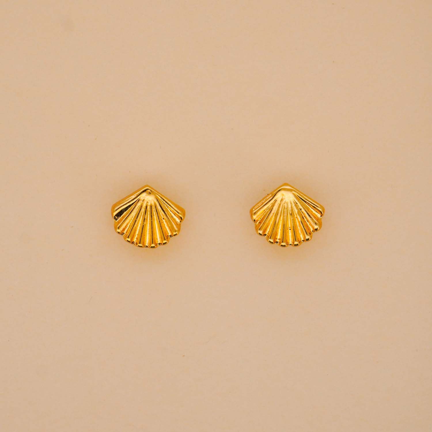 Shell Stud Earrings