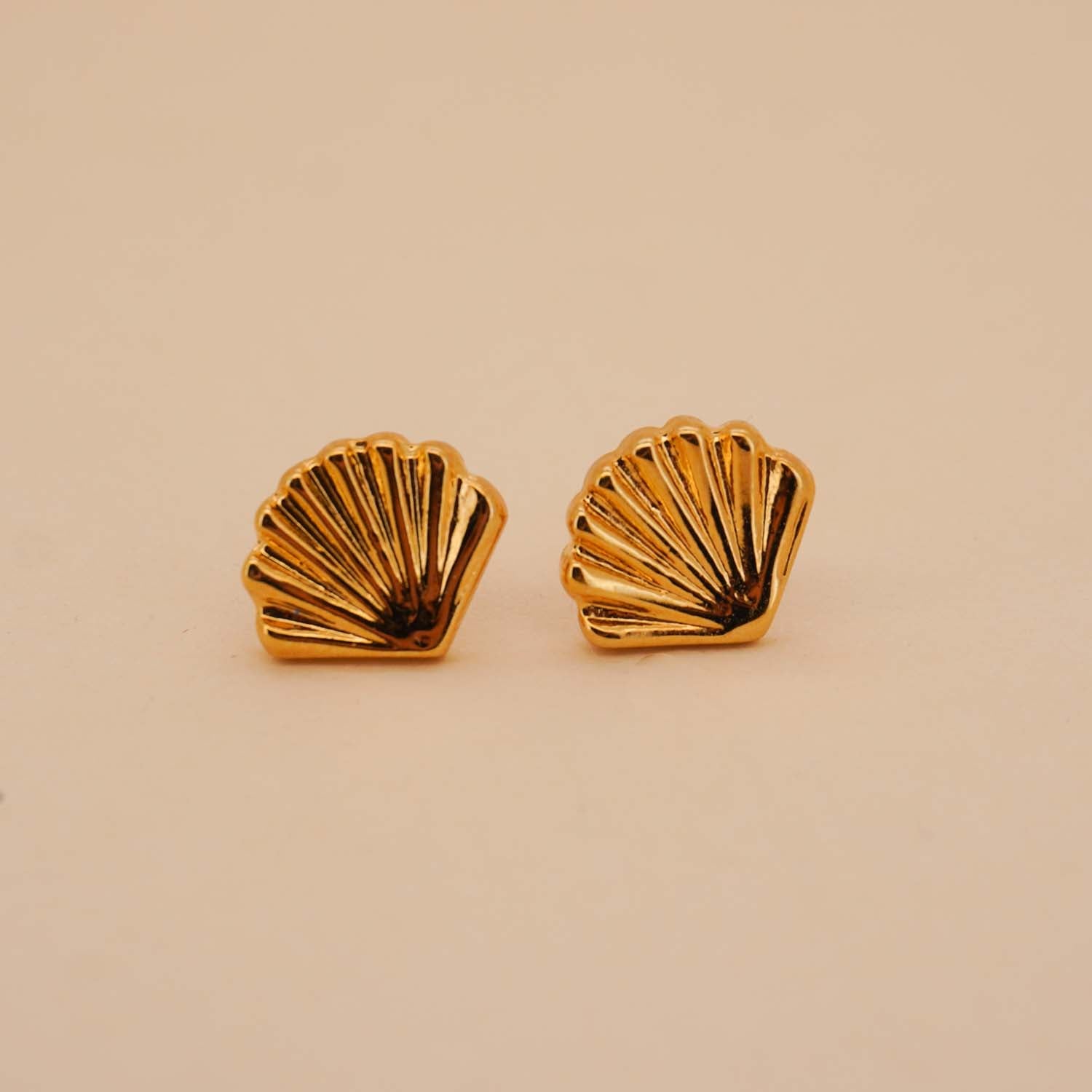 Shell Stud Earrings