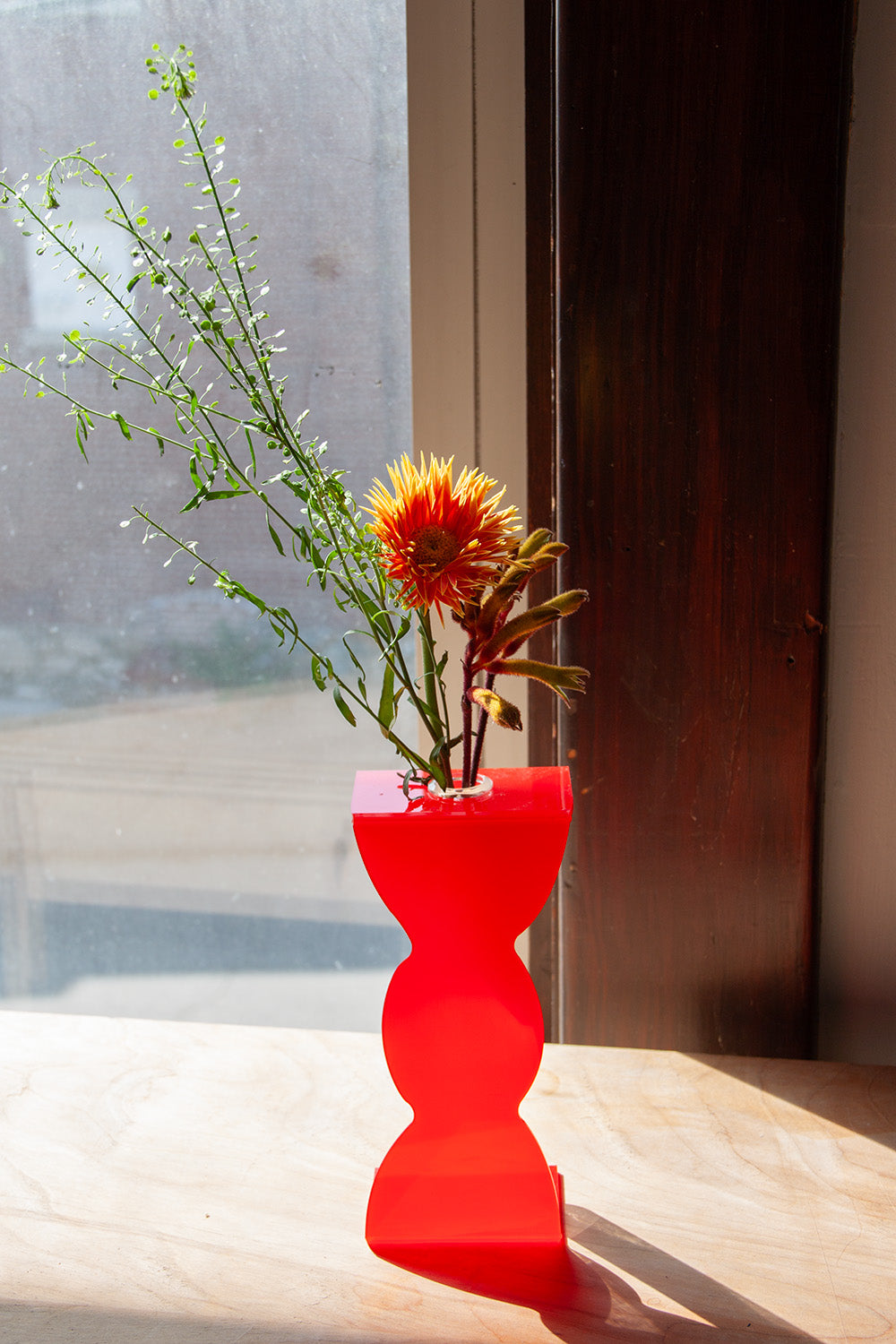 Red propagation vase